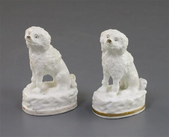 Two Rockingham porcelain figures of poodles, c.1830, H. 7.5cm